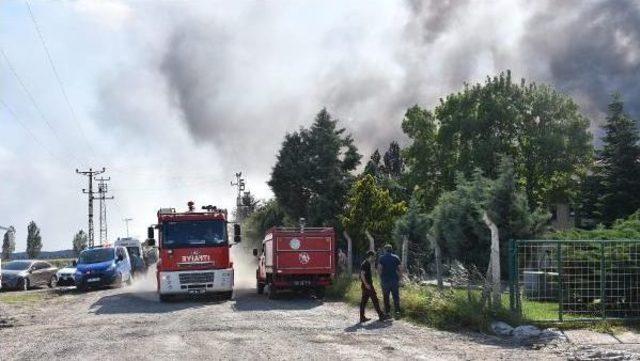 Tekirdağ'da Fabrika Yangını (2)