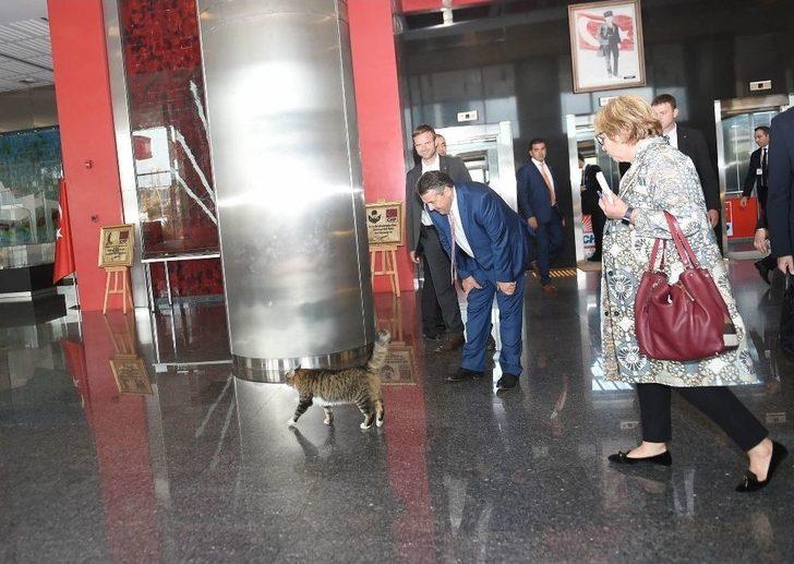 Kılıçdaroğlu, Almanya Dışişleri Bakanı Gabriel’le Bir Araya Geldi G5