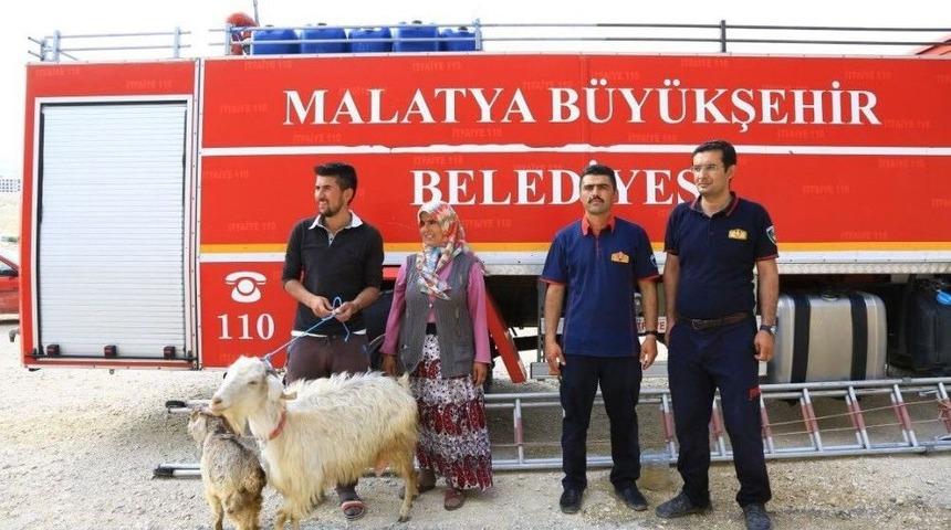 Kayalıklarda Mahsur Kalan Ke&ccedil;i Kurtarıldı