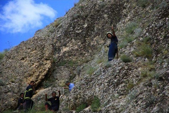 Kayalıklarda Mahsur Kalan Keçi Kurtarıldı