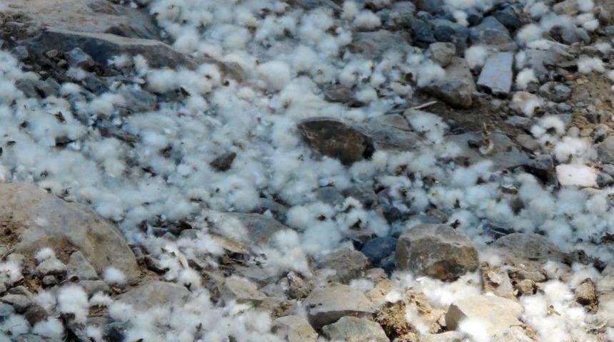 Beyt&uuml;şşebap&rsquo;ı Bu Kez Polenler Beyaza B&uuml;r&uuml;d&uuml;