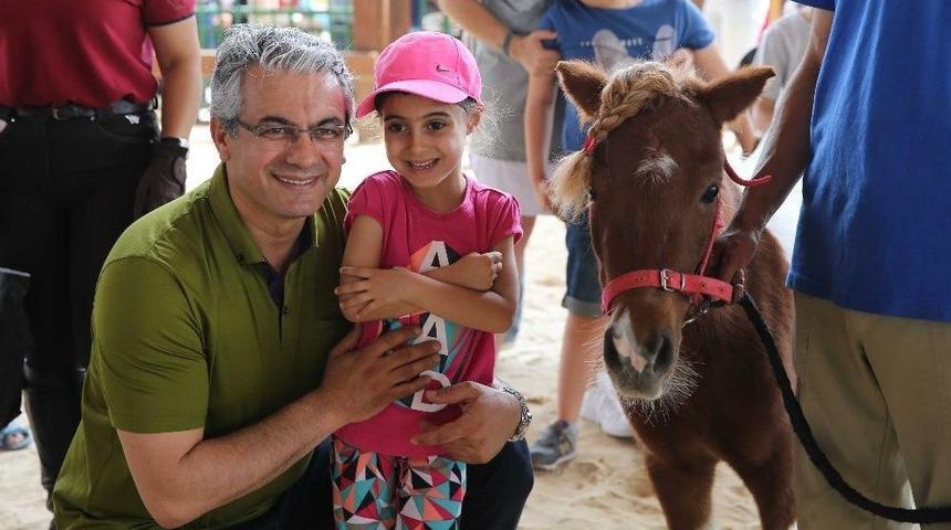 Atla Terapi Umut Oldu