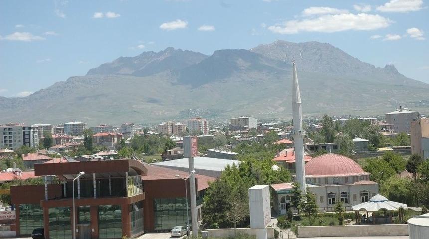 Van’da Polen Sıkıntısı