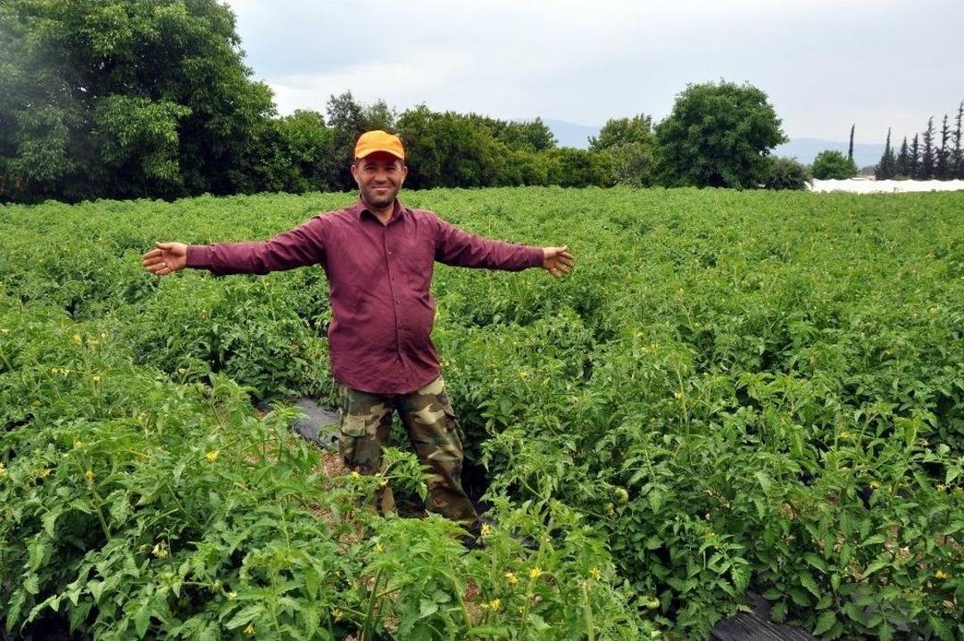Atadan Kalma &Ccedil;eşitleri G&uuml;n&uuml;m&uuml;z Teknolojisiyle Daha Verimli Hale Getirdi