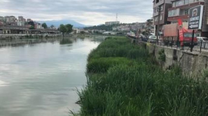 Alaplı &Ccedil;ayı Islah &Ccedil;alışması Bekliyor