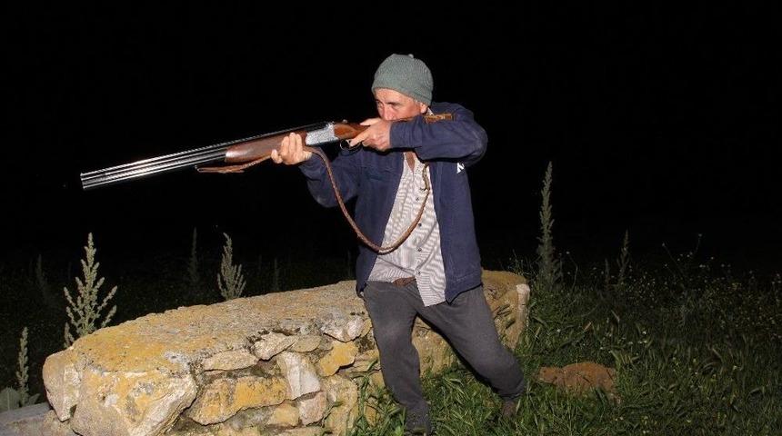 (&ouml;zel Haber) Muhtar K&ouml;pekleri Yiyen Hayvana Tek Başına Savaş A&ccedil;tı