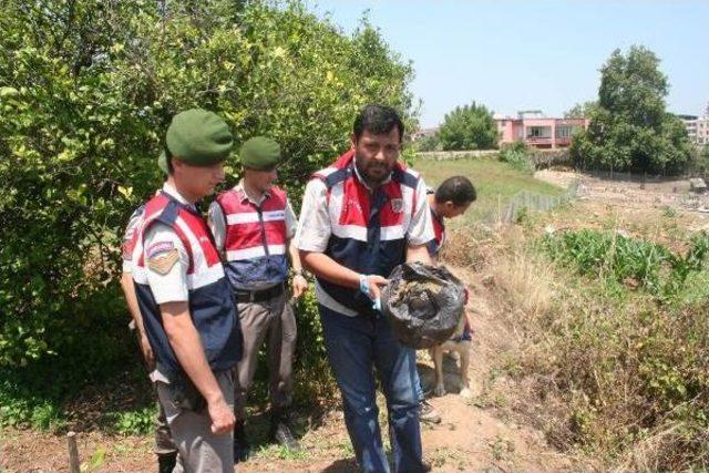 Mersin'de Uyuşturucu Operasyonunda 15 Tutuklama