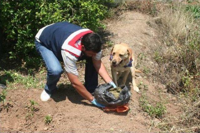 Mersin'de Uyuşturucu Operasyonunda 15 Tutuklama