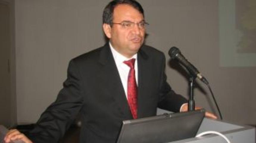 Arı Sokması Ve Alerjisine Dikkat