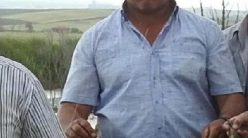 K&ouml;yde Inekler Telef Oldu, Balıklar &Ouml;ld&uuml;