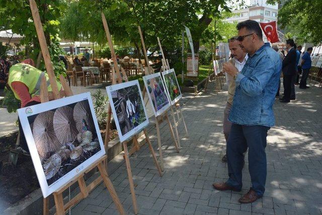 Sinop’ta “tarım Ve İnsan” Konulu Fotoğraf Sergisi