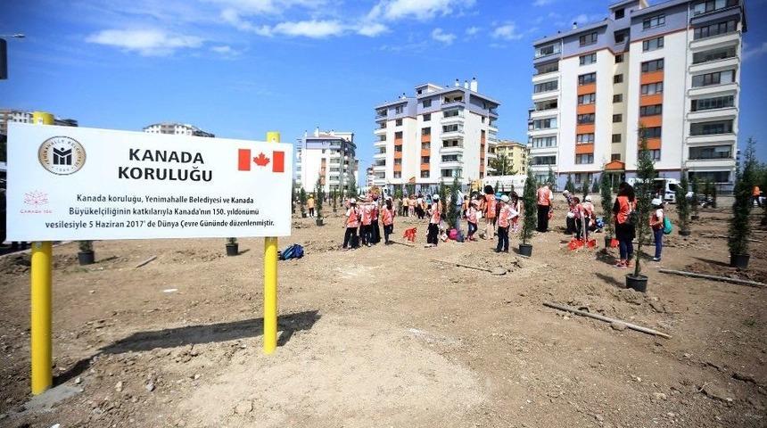 Yenimahalle&rsquo;ye Kanada Koruluğu