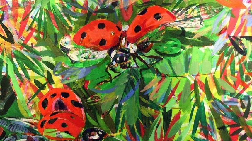 Kınkanatlılar &Ccedil;ankaya&rsquo;da