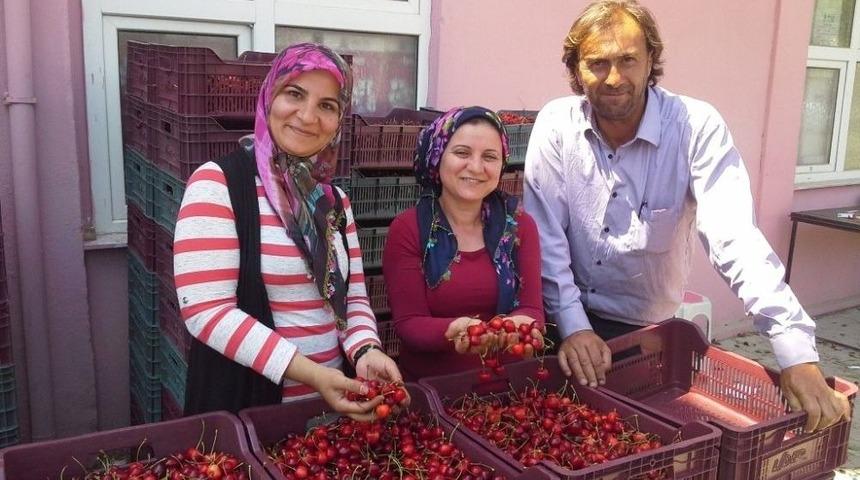 Selendi&rsquo;de Kiraz &Uuml;reticisi Dertli