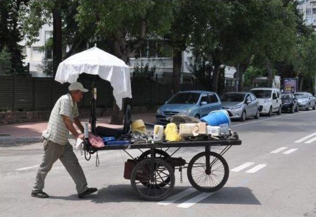 Çukurova Aniden Isındı