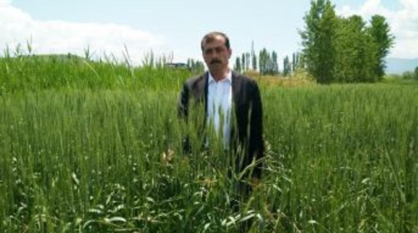 Yağmur, Çiftçileri Sevindirdi