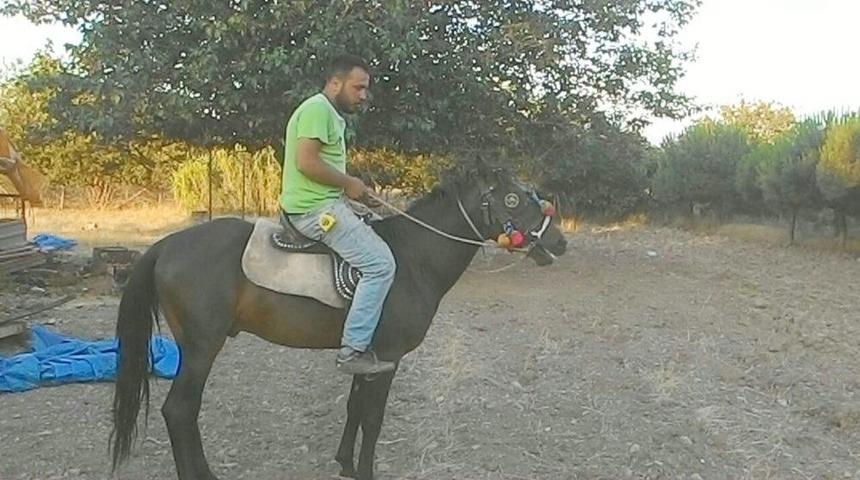 Atı T&uuml;fekle &Ouml;ld&uuml;rm&uuml;şt&uuml;, Karar &Ccedil;ıktı