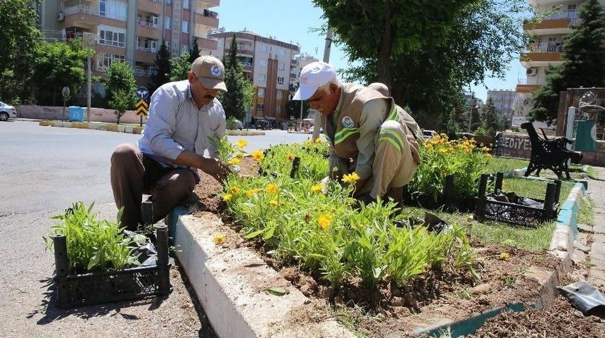 Haliliye İl&ccedil;esi &Ccedil;i&ccedil;eklerle S&uuml;sleniyor