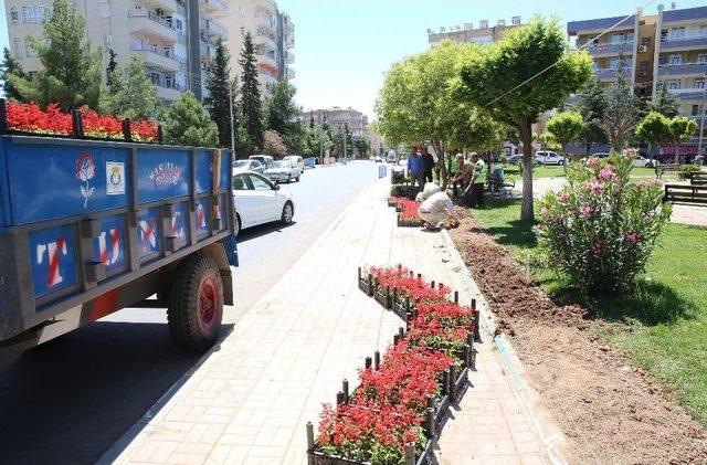 Haliliye İl&ccedil;esi &Ccedil;i&ccedil;eklerle S&uuml;sleniyor 1