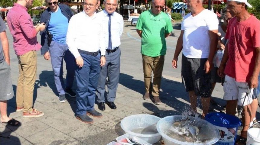 &Ccedil;anakkale Balık İhracatında &Ouml;nemli Noktada