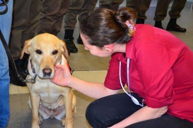 Jandarmanın Iz Takip Ve Narkotik K&ouml;peğine Ilgi 1