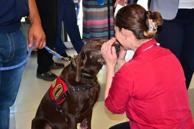 Jandarmanın Iz Takip Ve Narkotik K&ouml;peğine Ilgi 2