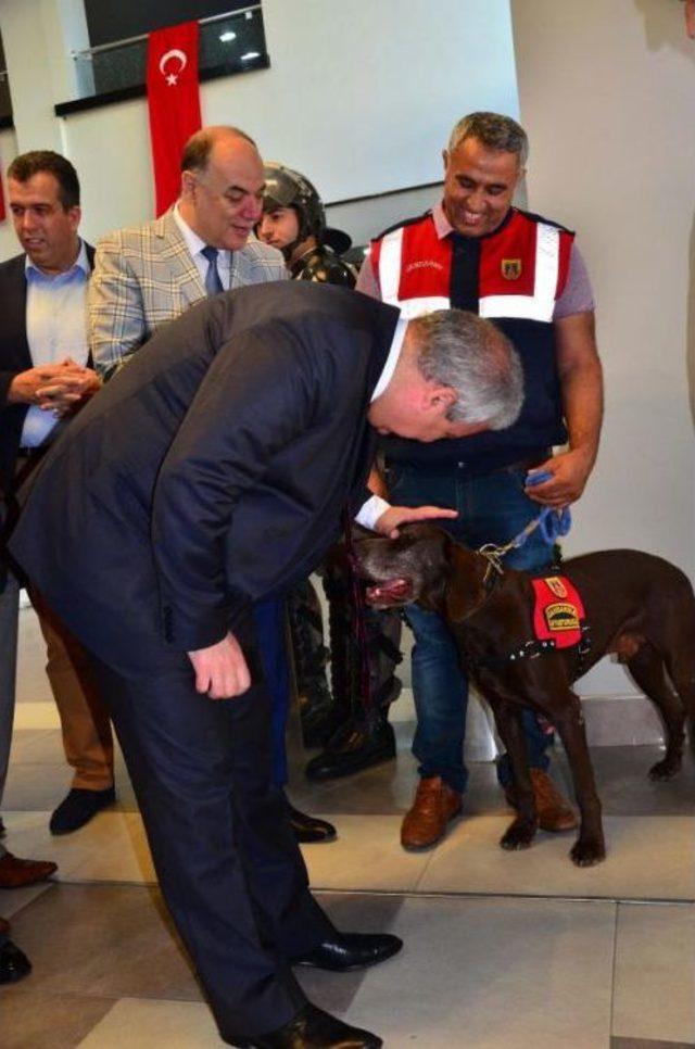 Jandarmanın Iz Takip Ve Narkotik K&ouml;peğine Ilgi 3