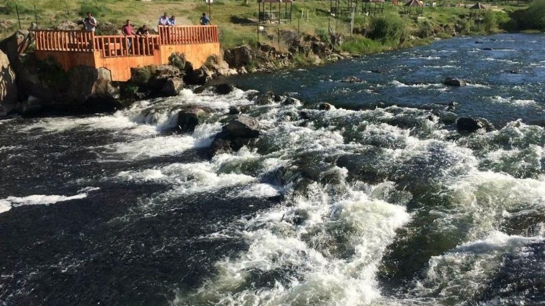 İnci Kefallerin Zorlu Yolculuğu Devam Ediyor