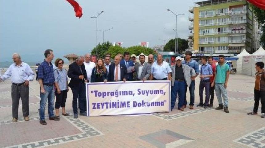 Yaslıoğlu: Şehirleşme Ve Yol Yapımı Nedeniyle 887 Bin 180 Zeytin Ağacı Yok Edildi