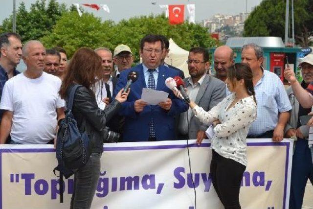 Yaslıoğlu: Şehirleşme Ve Yol Yapımı Nedeniyle 887 Bin 180 Zeytin Ağacı Yok Edildi