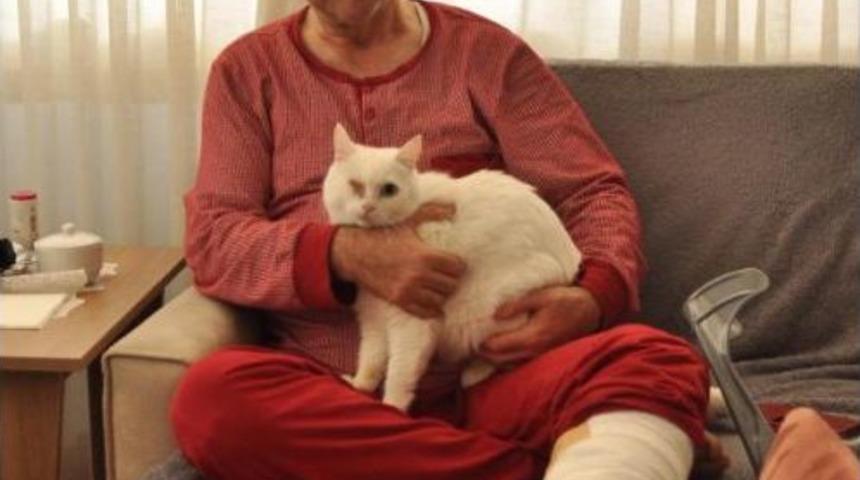 Kediye Tekme Atan &Ccedil;ocuğu Uyaran Veteriner Saldırıya Uğradı