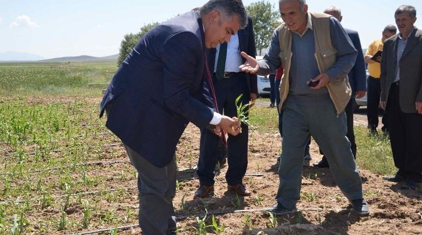 Ereğli&rsquo;de Dolu Yağışının Ardından Arazide İncelemeler S&uuml;r&uuml;yor