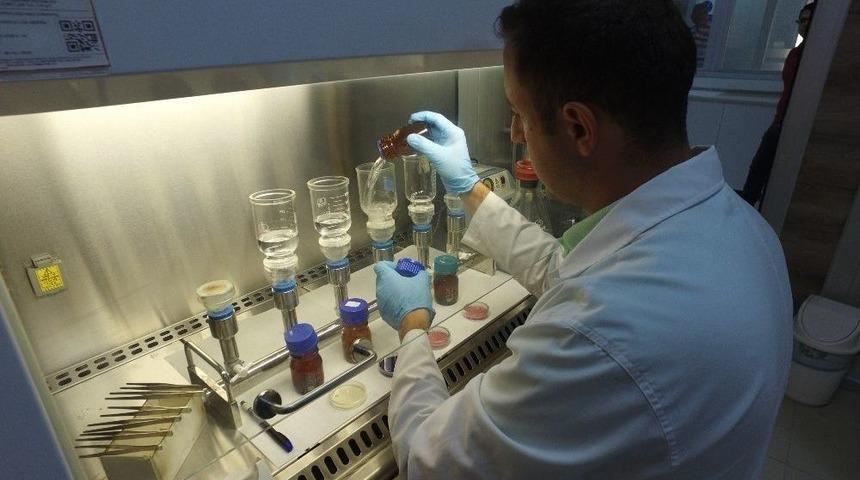 Mersin&rsquo;in Suyu Temiz &Ccedil;ıktı