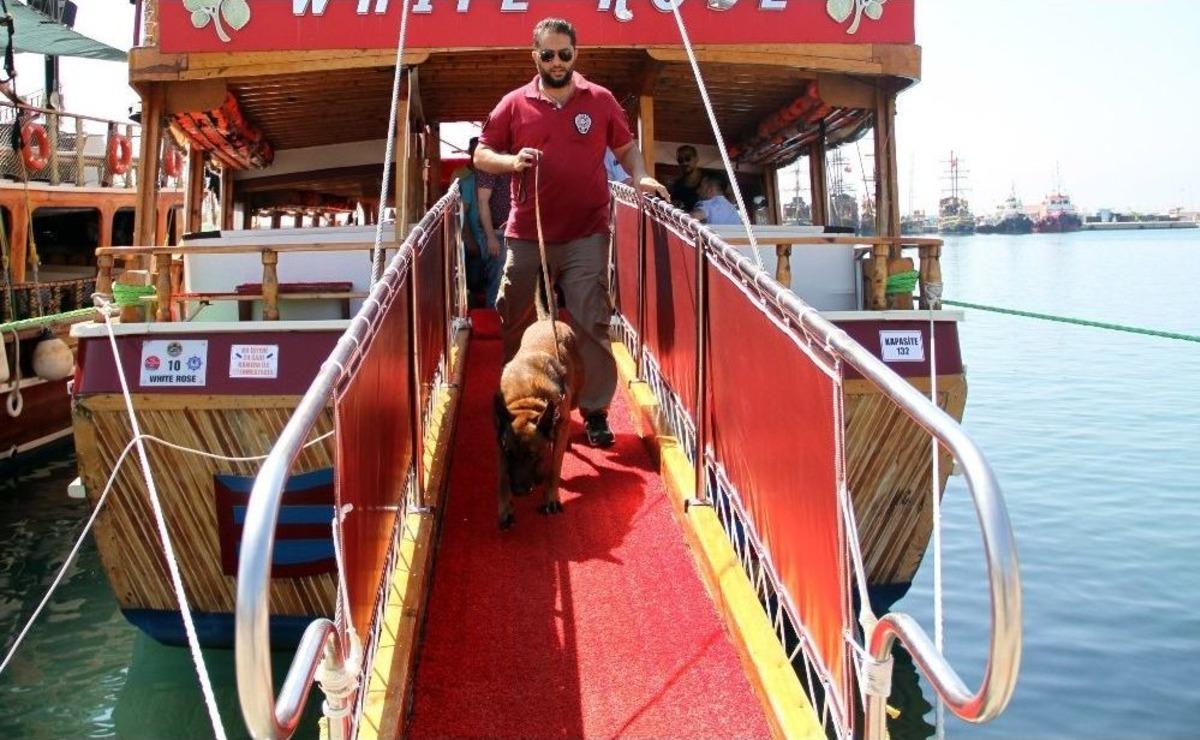 Alanya Polisi Gezi Teknelerine Y&ouml;nelik Uygulamaları Sıklaştırdı
