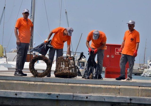 Denizden Çıkanlar Görenleri Şaşırttı