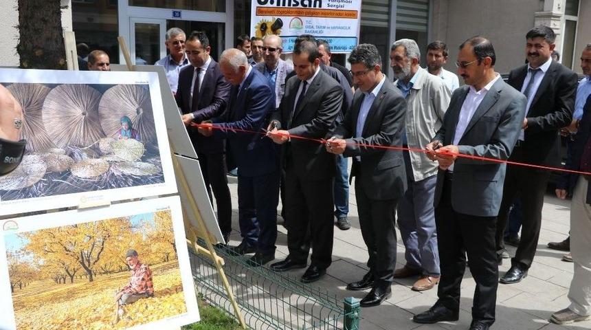 Ağrı&rsquo;da Tarım Ve İnsan Fotoğraf Sergisi