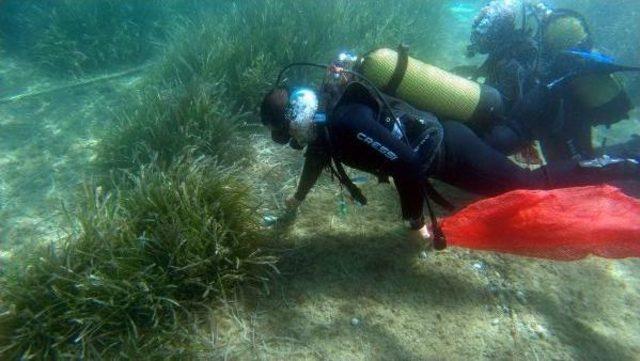 Bodrum'daki Deniz Dibi Temizliği, Diğer Illere Örnek Oldu