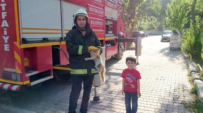 İtfaiye Ekipleri K&uuml;&ccedil;&uuml;k &Ccedil;ocuğun İhbarı &Uuml;zerine Ağa&ccedil;taki Kediyi Kurtardı