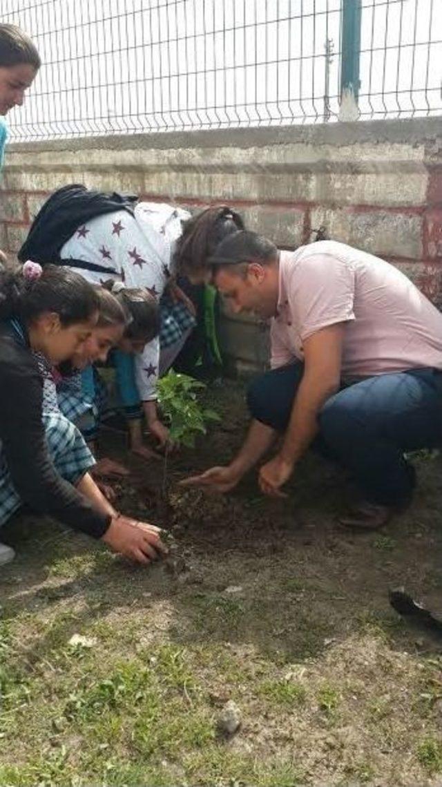 Ağrı’da Okul Bahçelerine Fidan Dikimi Yapıldı