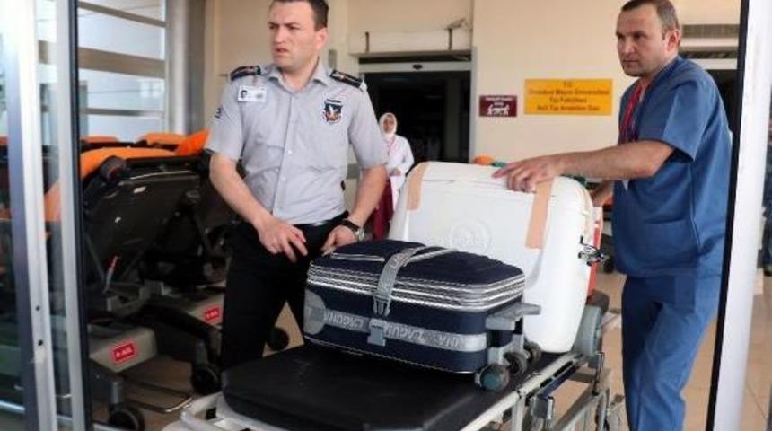 16 Yaşındaki Sezer'in Organları 4 Kişiye Can Oldu