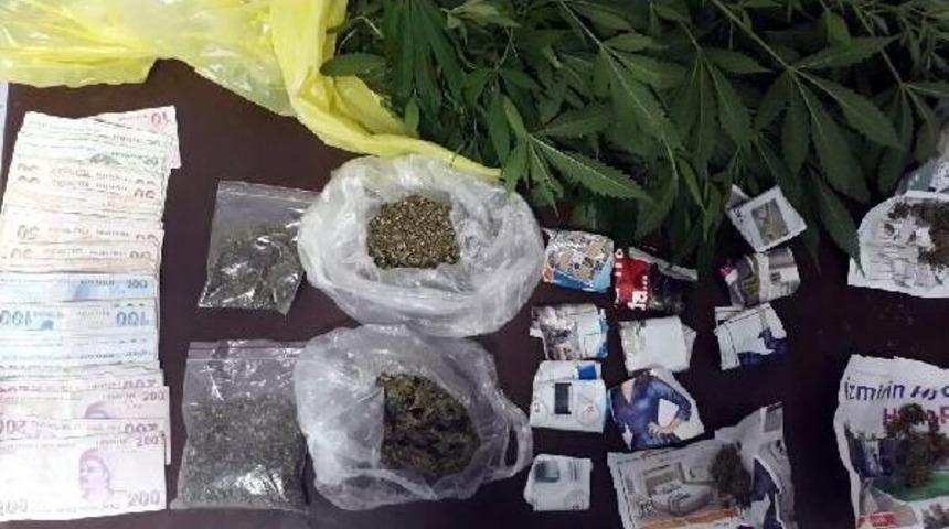 &Ouml;demiş'te Esrar Ve Hintkeneviri Ele Ge&ccedil;irildi