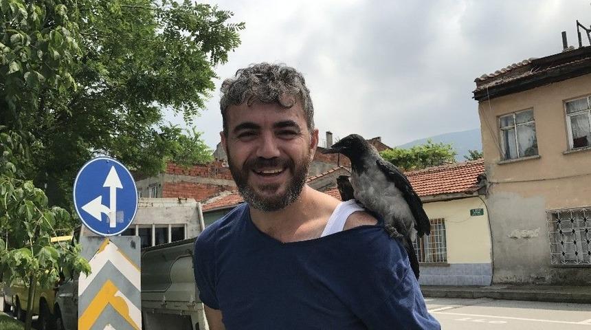 Başına Yavru Karga Kondu, Karga Ailesi Onu Rahat Bırakmadı