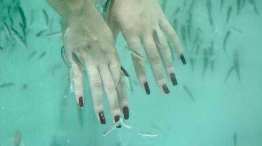 'doktor Balıklar' Sezon A&ccedil;tı