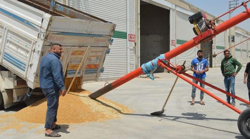 İthal Kırmızı Mercimeğe Sınırlandırma Talebi