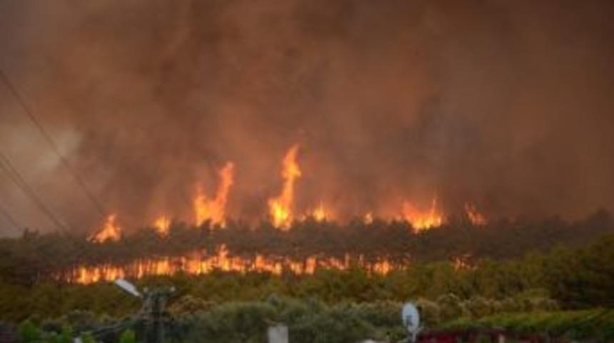 Yaz Geldi Orman Yangınları Başladı