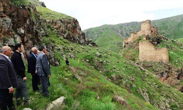 Vali Özefe, Çıldır İlçesinde İncelemelerde Bulundu