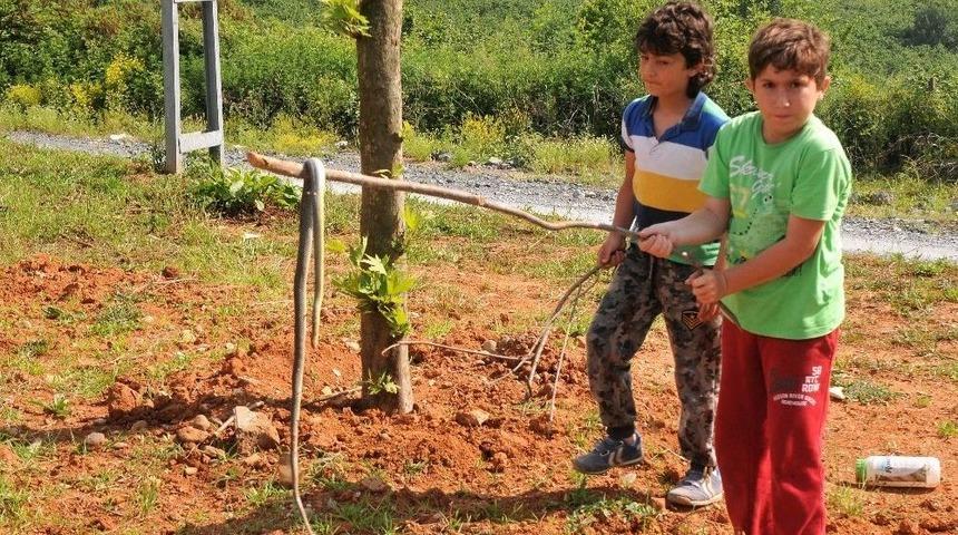 &Ccedil;ocuklar Tarafından Bulundu