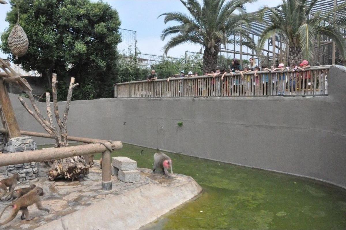 (&ouml;zel Haber) Minikler Yerlere Atılan &Ccedil;&ouml;pleri Topladı