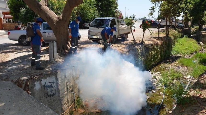 Antalya&rsquo;da Sinekle M&uuml;cadele