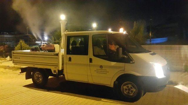 Antalya’da Sinekle Mücadele 2